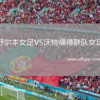 舒爾本女足VS沃特福德聯(lián)隊女足