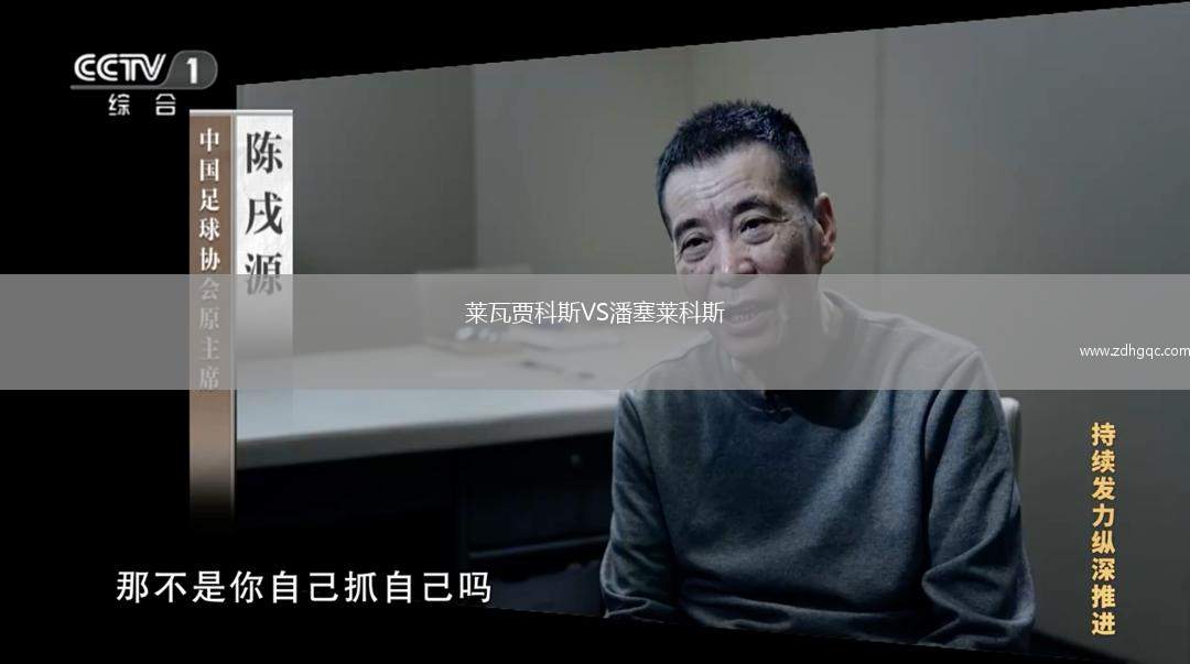 萊瓦賈科斯VS潘塞萊科斯