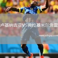 盧基納吉亞VS弗拉基米爾魚雷