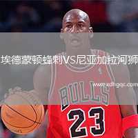 埃德蒙頓蜂刺VS尼亞加拉河獅