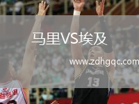 馬里VS埃及