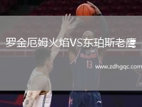 羅金厄姆火焰VS東珀斯老鷹