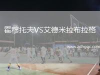 霍穆托夫VS艾德米拉布拉格