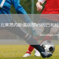 北萊昂內(nèi)斯俱樂部VS因巴布拉