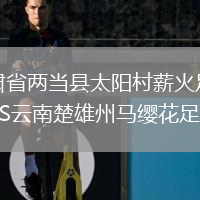 甘肅省兩當(dāng)縣太陽村薪火足球隊VS云南楚雄州馬纓花足球隊