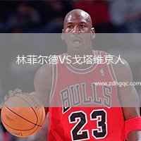林菲爾德VS戈塔維京人