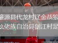 黑龍江肇源縣代龍村遼金戰(zhàn)狼隊(duì)VS廣西羅城仫佬族自治縣劍江村足球隊(duì)