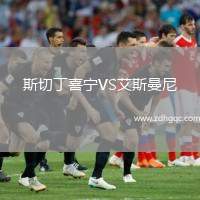 斯切丁喜寧VS艾斯曼尼