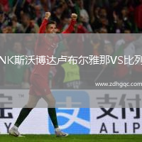 NK斯沃博達盧布爾雅那VS比列