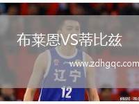 布萊恩VS蒂比茲