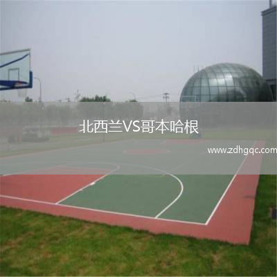 北西蘭VS哥本哈根