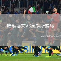 哈維德夫VS奧胡斯費馬
