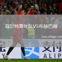 菲爾特青年隊(duì)VS布赫巴赫