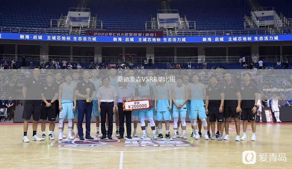 桑德豪森VSRB萊比錫