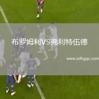布羅姆利VS弗利特伍德