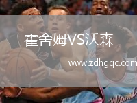 霍舍姆VS沃森