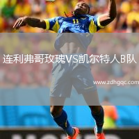 連利弗哥玫瑰VS凱爾特人B隊(duì)