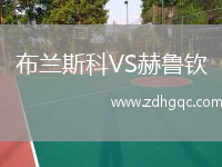 布蘭斯科VS赫魯欽