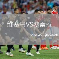 維塞烏VS費(fèi)雷拉