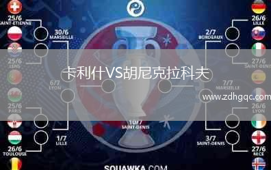 卡利什VS胡尼克拉科夫