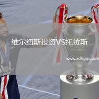 維爾紐斯投資VS托拉斯