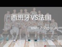 西班牙VS法國