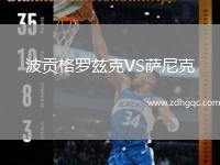 波貢格羅茲克VS薩尼克