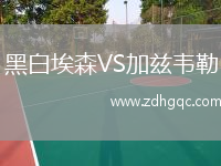 黑白埃森VS加茲韋勒