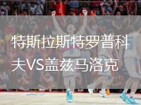 特斯拉斯特羅普科夫VS蓋茲馬洛克