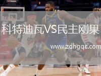 科特迪瓦VS民主剛果