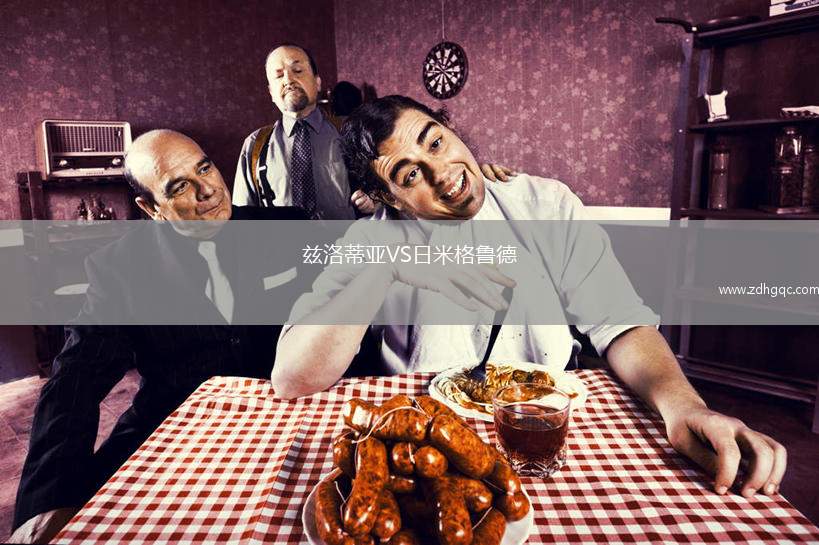 茲洛蒂亞VS日米格魯?shù)? /> </a>
            <div   id=