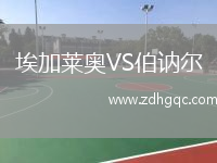 埃加萊奧VS伯訥爾