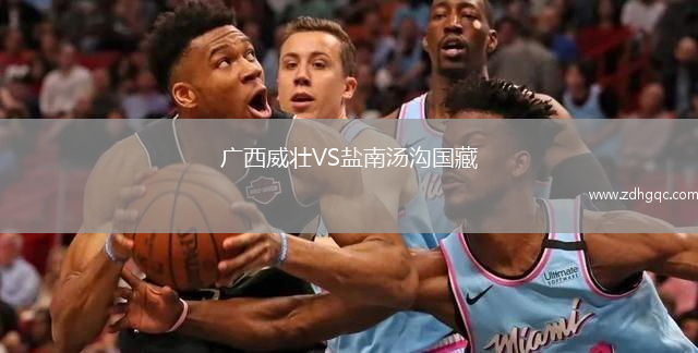 廣西威壯VS鹽南湯溝國藏