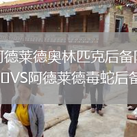 阿德萊德奧林匹克后備隊VS阿德萊德毒蛇后備隊