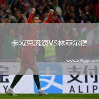 卡域克流浪VS林菲爾德
