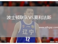 波士頓聯(lián)隊(duì)VS夏利法斯