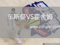 車斯曼VS霍舍姆