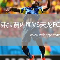 弗拉賈內(nèi)斯VS天龍FC