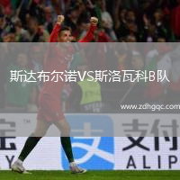 斯達(dá)布爾諾VS斯洛瓦科B隊(duì)