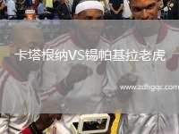 卡塔根納VS錫帕基拉老虎