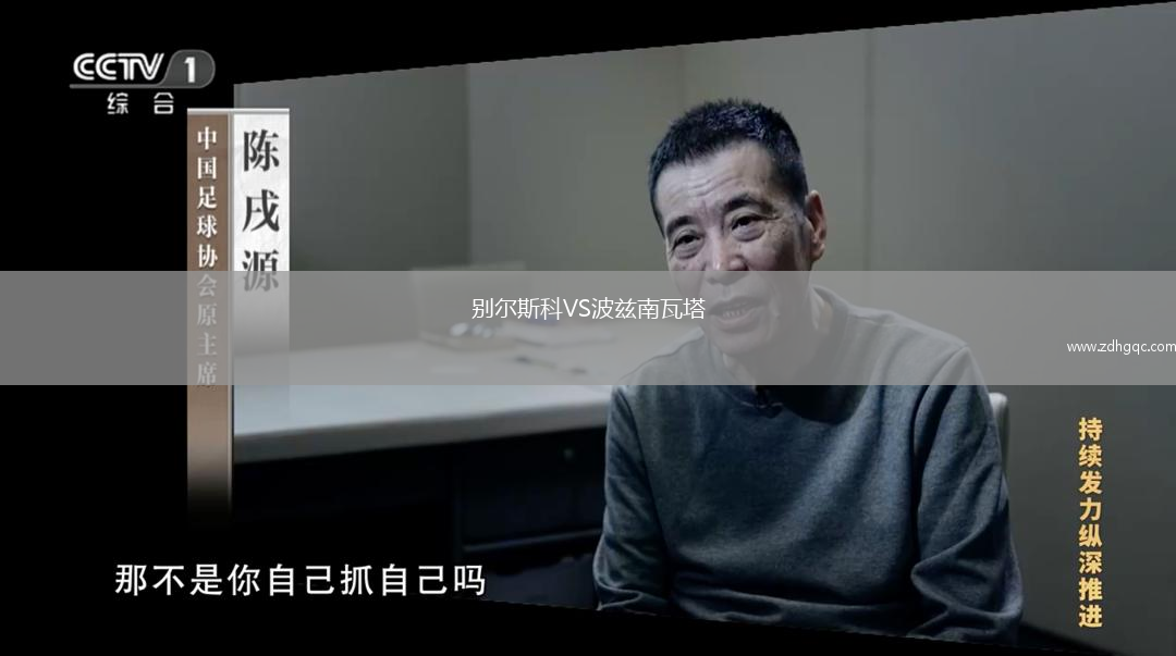 別爾斯科VS波茲南瓦塔