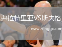 弗拉特里亞VS斯夫格