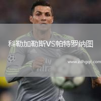 科勒加勒斯VS帕特羅納圖