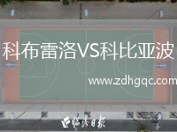 科布雷洛VS科比亞波