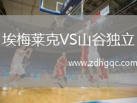埃梅萊克VS山谷獨立