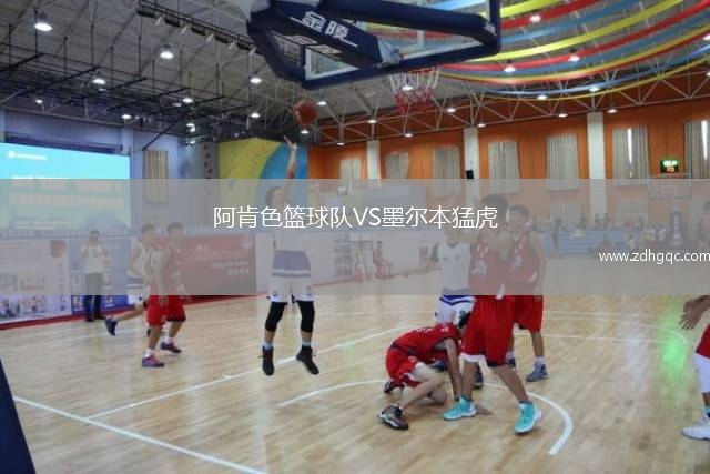 阿肯色籃球隊VS墨爾本猛虎