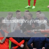 溫蘭加姆利茨VSUSV格納斯