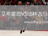 艾希霍恩VS比林古馬