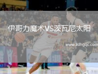 伊哥力魔術(shù)VS茨瓦尼太陽
