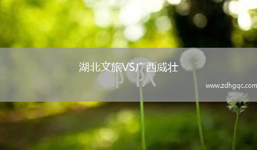 湖北文旅VS廣西威壯